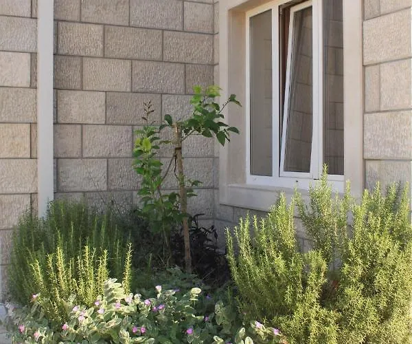 With A Parking Space Cavtat, Dubrovnik - 8576